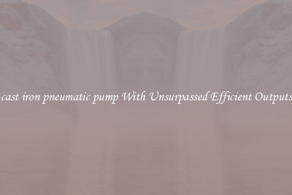 cast iron pneumatic pump With Unsurpassed Efficient Outputs