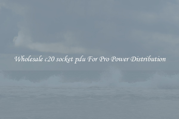 Wholesale c20 socket pdu For Pro Power Distribution