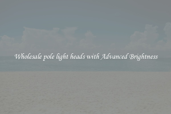 Wholesale pole light heads with Advanced Brightness