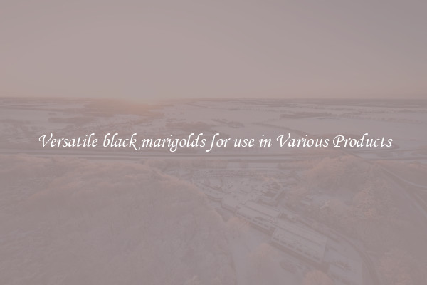 Versatile black marigolds for use in Various Products