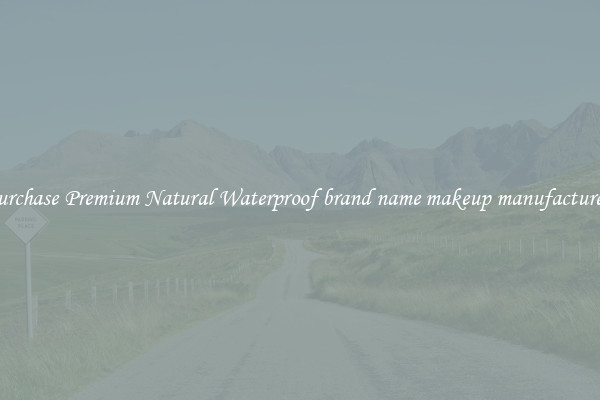 Purchase Premium Natural Waterproof brand name makeup manufacturers