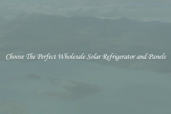 Choose The Perfect Wholesale Solar Refrigerator and Panels