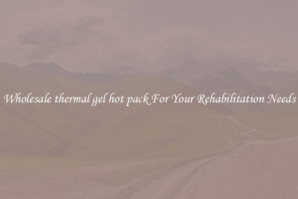 Wholesale thermal gel hot pack For Your Rehabilitation Needs