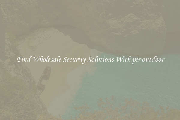 Find Wholesale Security Solutions With pir outdoor