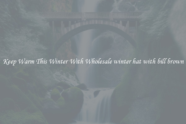 Keep Warm This Winter With Wholesale winter hat with bill brown