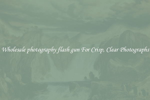 Wholesale photography flash gun For Crisp, Clear Photographs