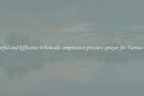 Powerful and Effective Wholesale compression pressure sprayer for Various Uses