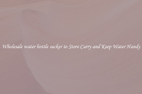 Wholesale water bottle sucker to Store Carry and Keep Water Handy