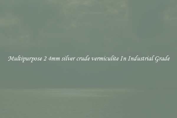 Multipurpose 2 4mm silver crude vermiculite In Industrial Grade