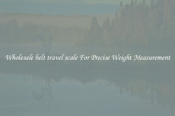 Wholesale belt travel scale For Precise Weight Measurement
