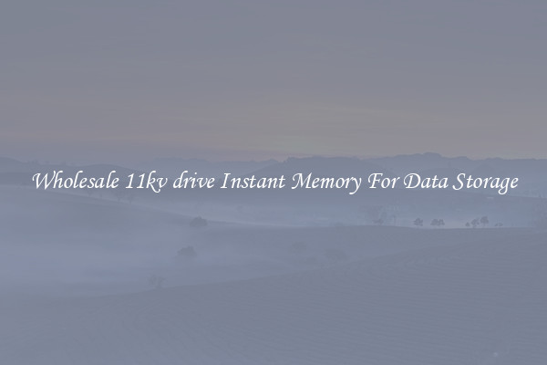 Wholesale 11kv drive Instant Memory For Data Storage