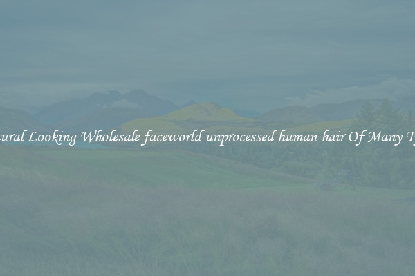 Natural Looking Wholesale faceworld unprocessed human hair Of Many Types