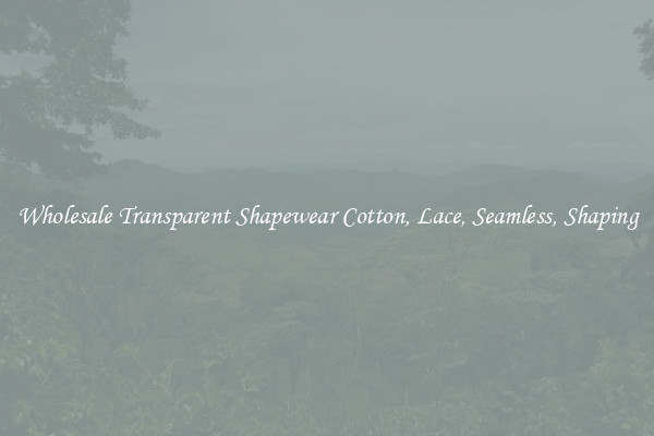 Wholesale Transparent Shapewear Cotton, Lace, Seamless, Shaping