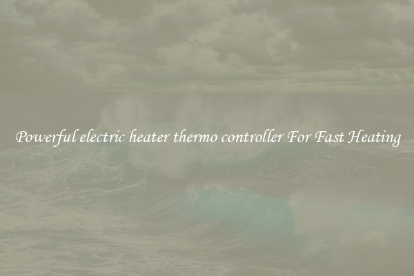 Powerful electric heater thermo controller For Fast Heating