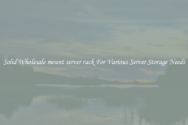 Solid Wholesale mount server rack For Various Server Storage Needs