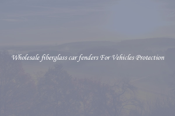 Wholesale fiberglass car fenders For Vehicles Protection